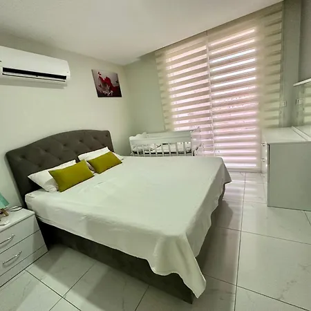 Alfa Homes *