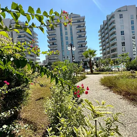 Apartament Alfa Homes *